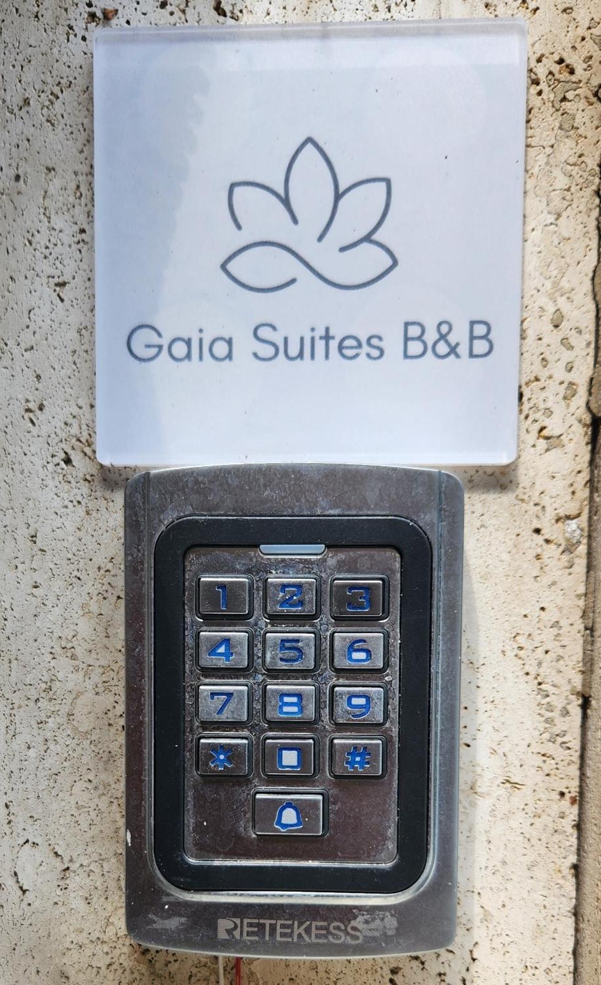 Gaia Suites - A Due Passi Dal Centro - Parcheggio Privato 都灵 外观 照片